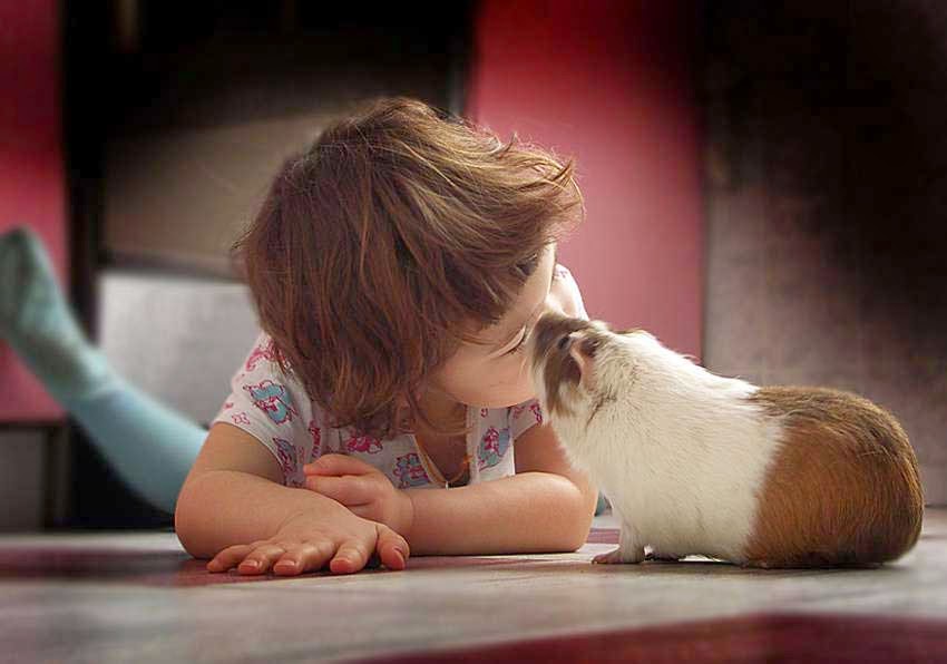 Cute Child with Pet