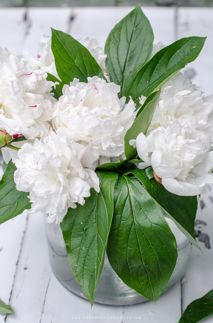 Learn one simple tip that will take your flower arrangements from looking basic to professional, even if you think you don't have flower arranging skills.  |  www.andersonandgrant.com