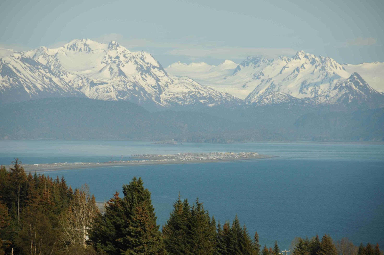Prescription Trout Tutka Bay Overnight