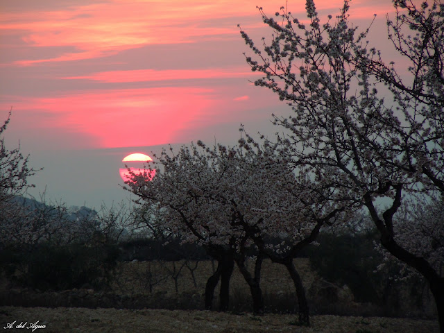 ANADELAGUA: SOL ROJO