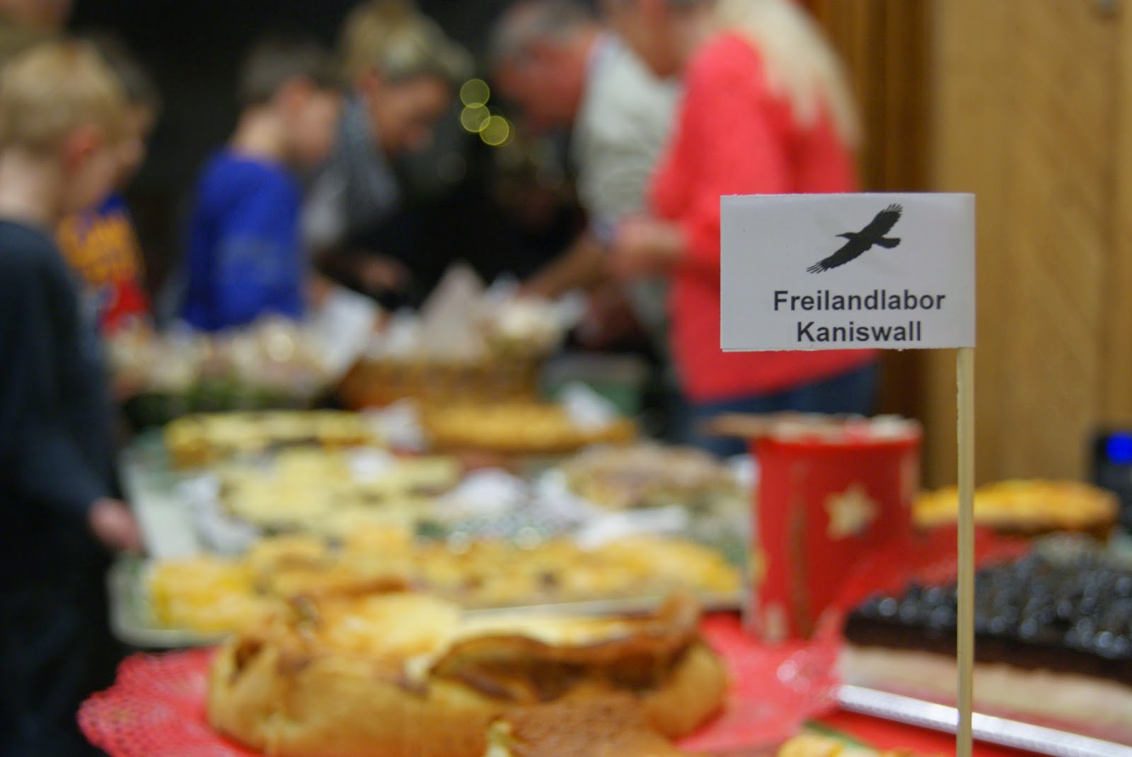 Osterlandgymnasium Gera Schule Im Grunen Februar 2017