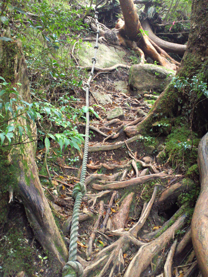 Red Rope Around Rocks Japan Yakushima Life: Exterior Mountain #2. Aiko-Dake