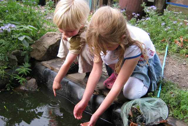 children pond dipping in wildlife pond