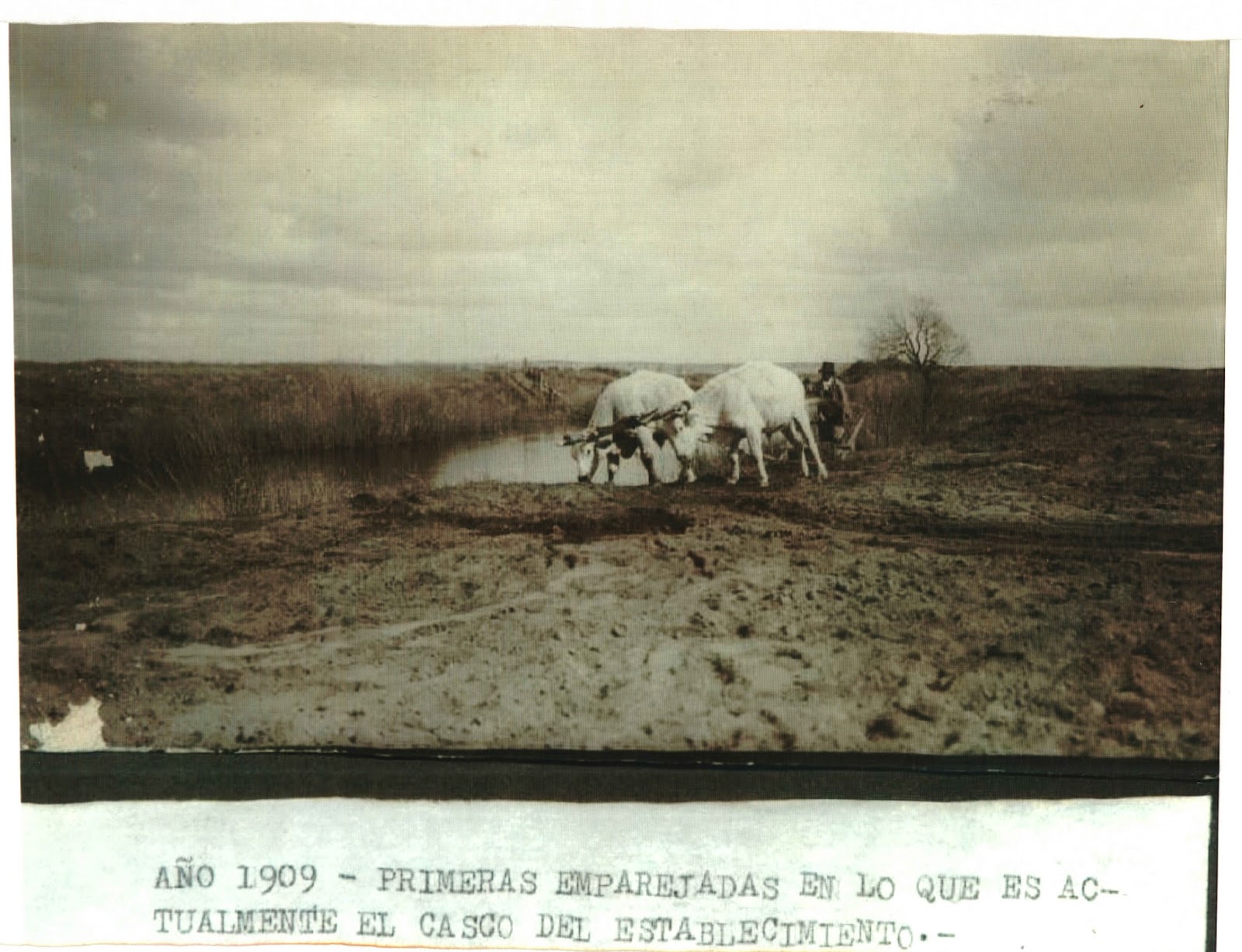 GEOGRAFÍA JAHUE: FOTOS ANTIGUAS DE LA CIUDAD DE PLOTTIER