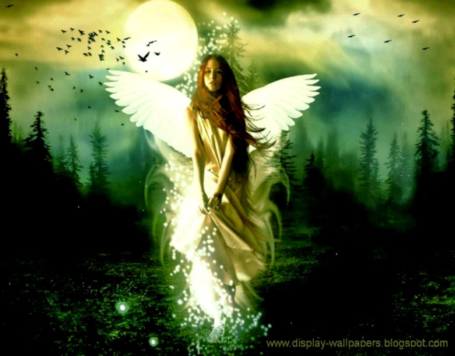 Animated Beautiful Wallpapers for Desktop Download