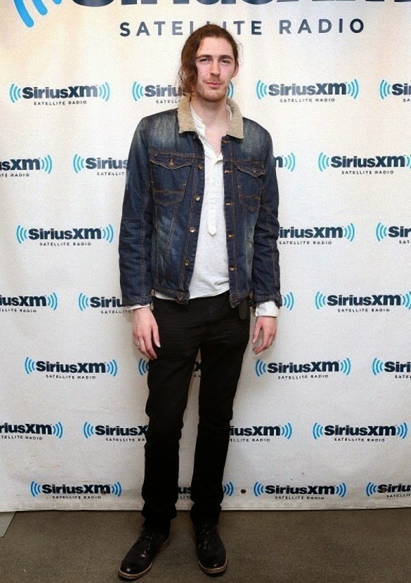 How Tall is Hozier? – Celebrity Heights | How Tall Are Celebrities ...