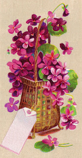 flower violet digital illustration download