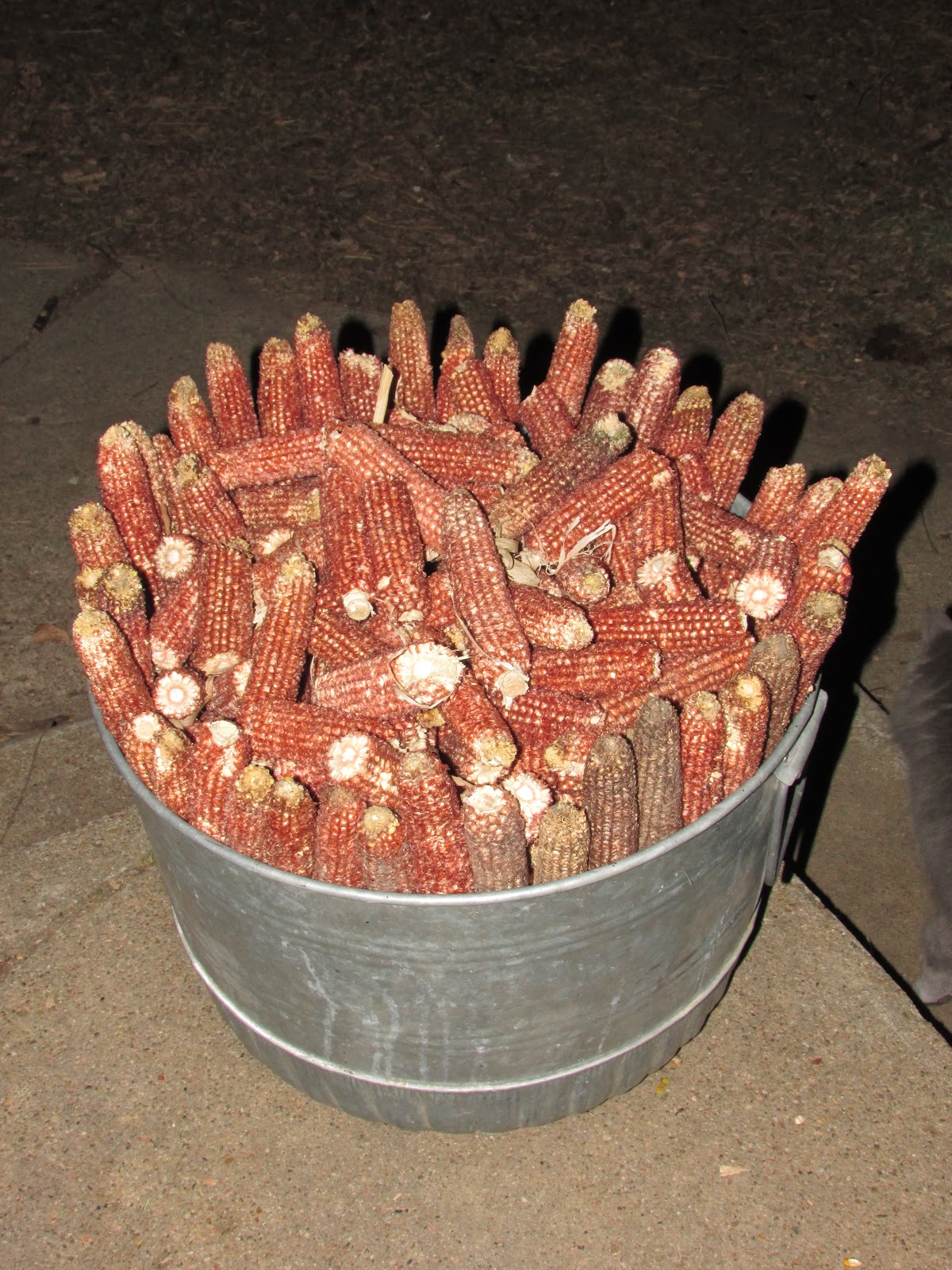 Wood Cookstove Cooking Using Corn Cobs as Fuel in a Woodburning Cookstove