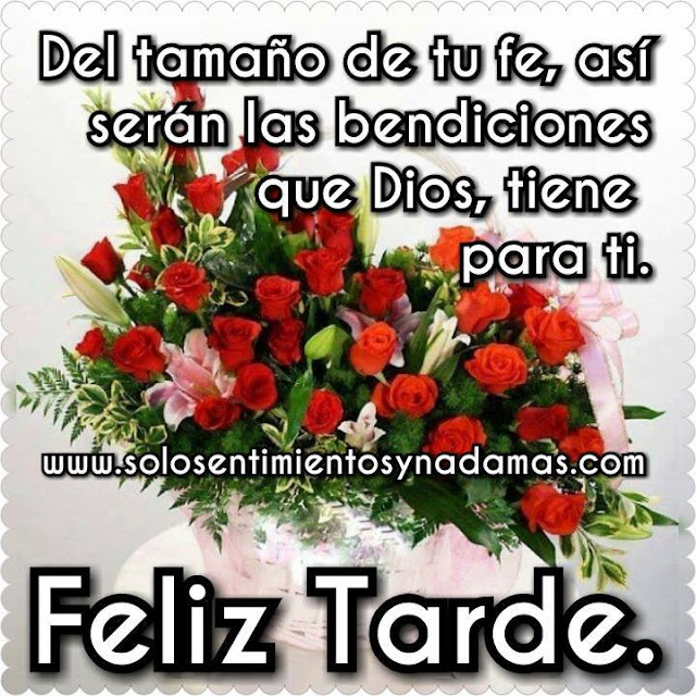 Feliz tarde.