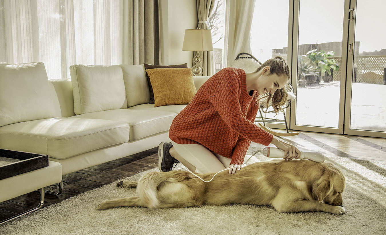 petaum grooming dryer