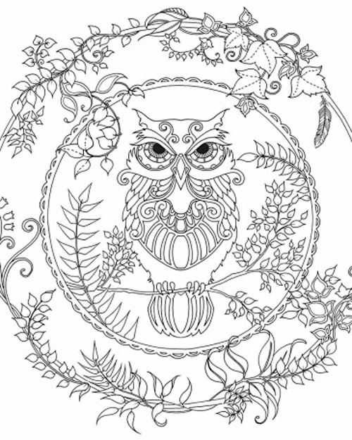 Best Free Owl Clip Art Coloring Pages Library - Free Coloring Book Images