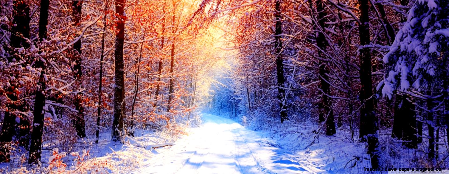 Winter Wallpaper Hd Widescreen  Free Nexus Wallpapers