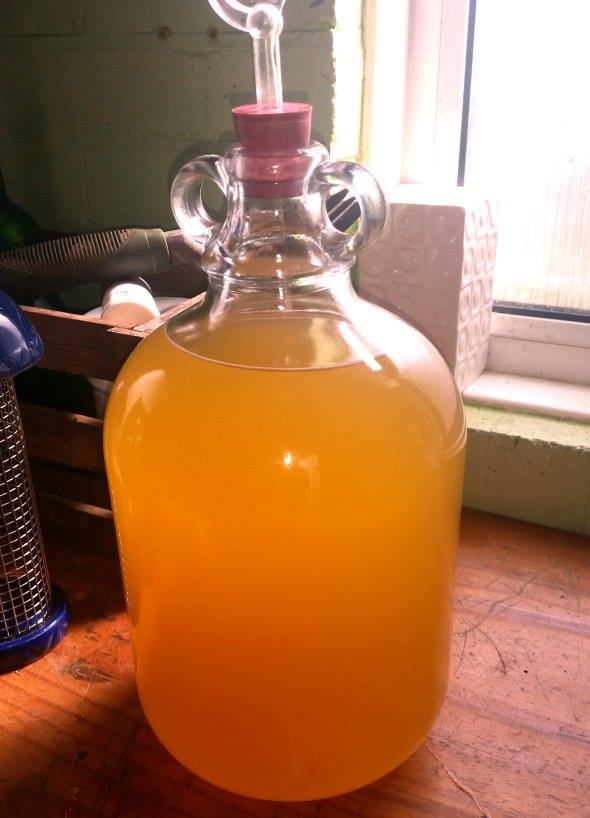 Jenny Eatwell's Rhubarb & Ginger Mead *hic* yep, it's alcoholic