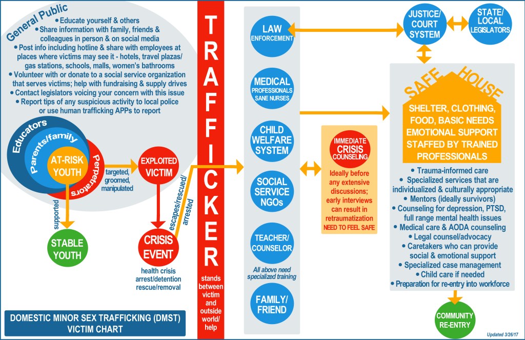 Assessment evaluation judgement estimation разница. Advantages and disadvantages of public transport. Project risk assumptions. First aid situations. Conflicts managing styles.