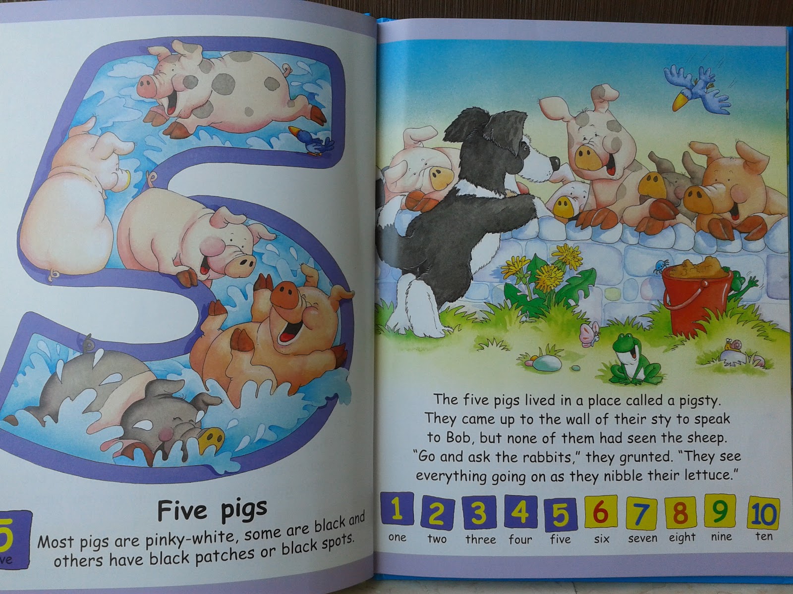 Practical Mom Brown Watson Books and Where To Buy English Books In practical-mom-brown-watson-books-and-where-to-buy-english-books-in