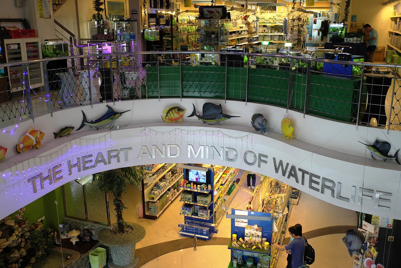 JE TunNel One of Top 10 largest Pet Shops in the World! CHEW THEAN