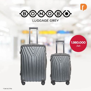 Bonobo Luggage Grey (Set of 2)