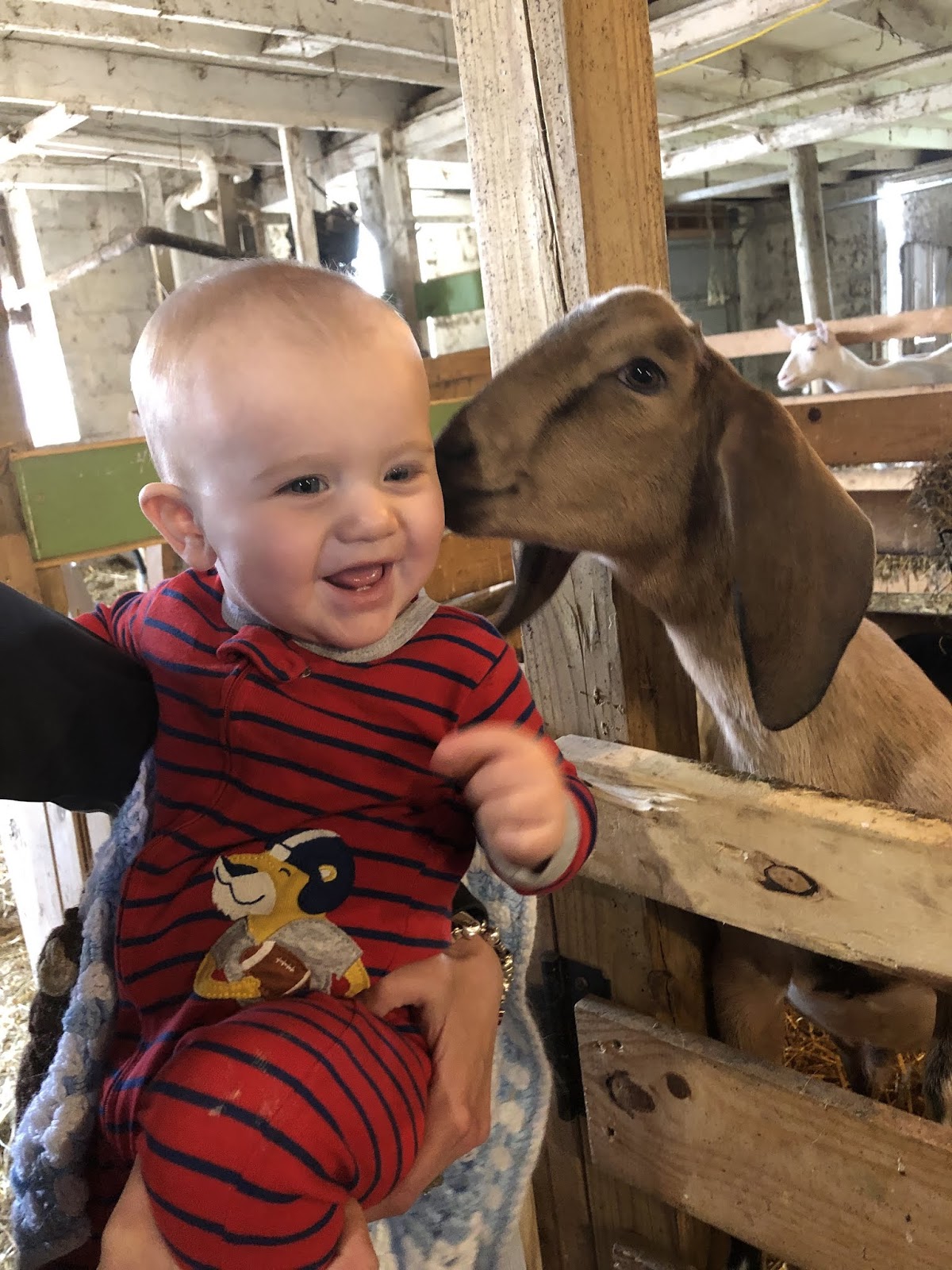 Priscillas Midwest Cross Stitch Retreat!