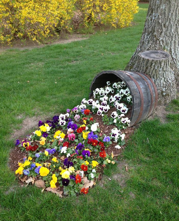 Wonderful World Flowing Flowers That Can Be Made Into A Garden, Best Idea