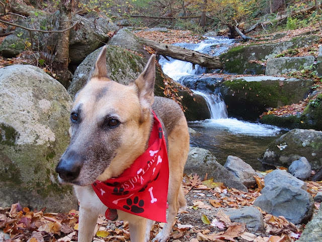 One of several waterfall views