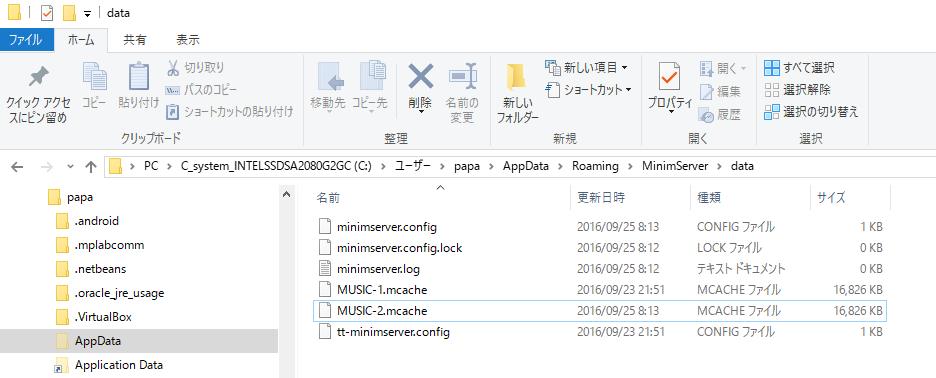 start minimserver start minimserver