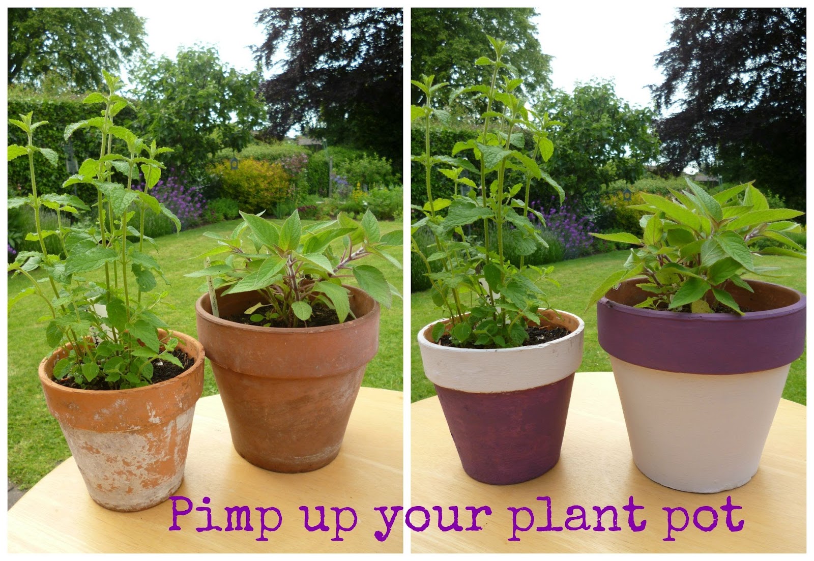 Painting clay terracotta pots
