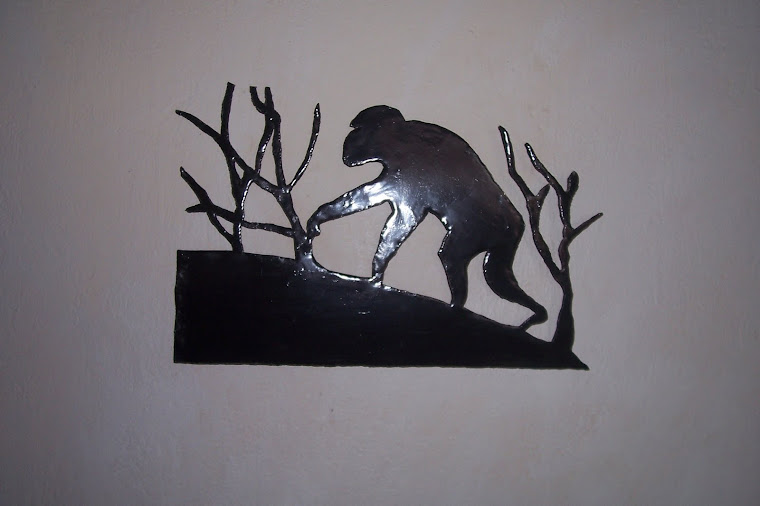 Wall metal work on natural conservation