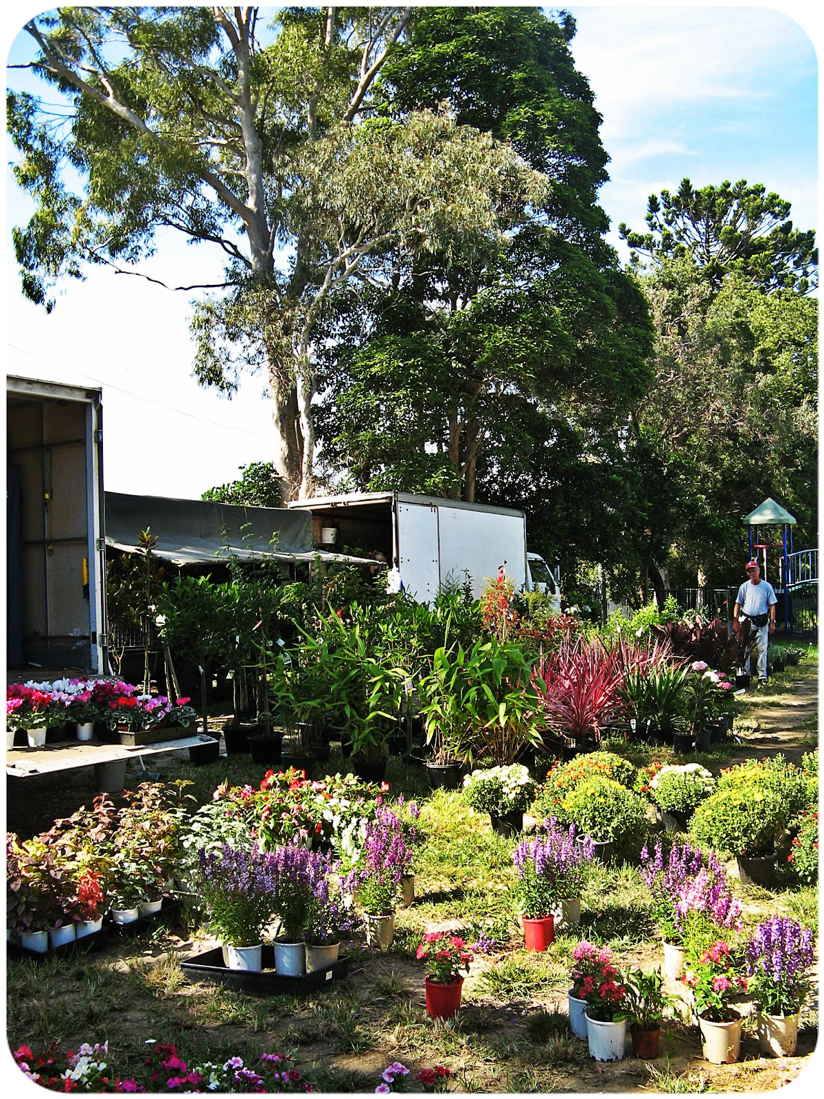Zahara Dessert Rozelle Markets Challenge Explore Sydney's Best Markets
