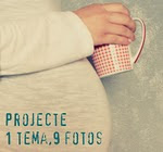 Projecte 1Tema 9Fotos