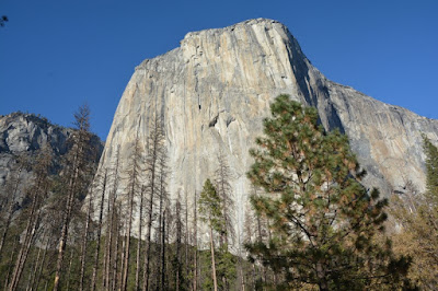 Yosemite National Park, un templo de la naturaleza - Viaje con tienda de campaña por el Oeste Americano (12)