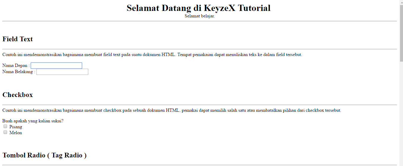 Membuat Form dan Input pada HTML | Keyzex