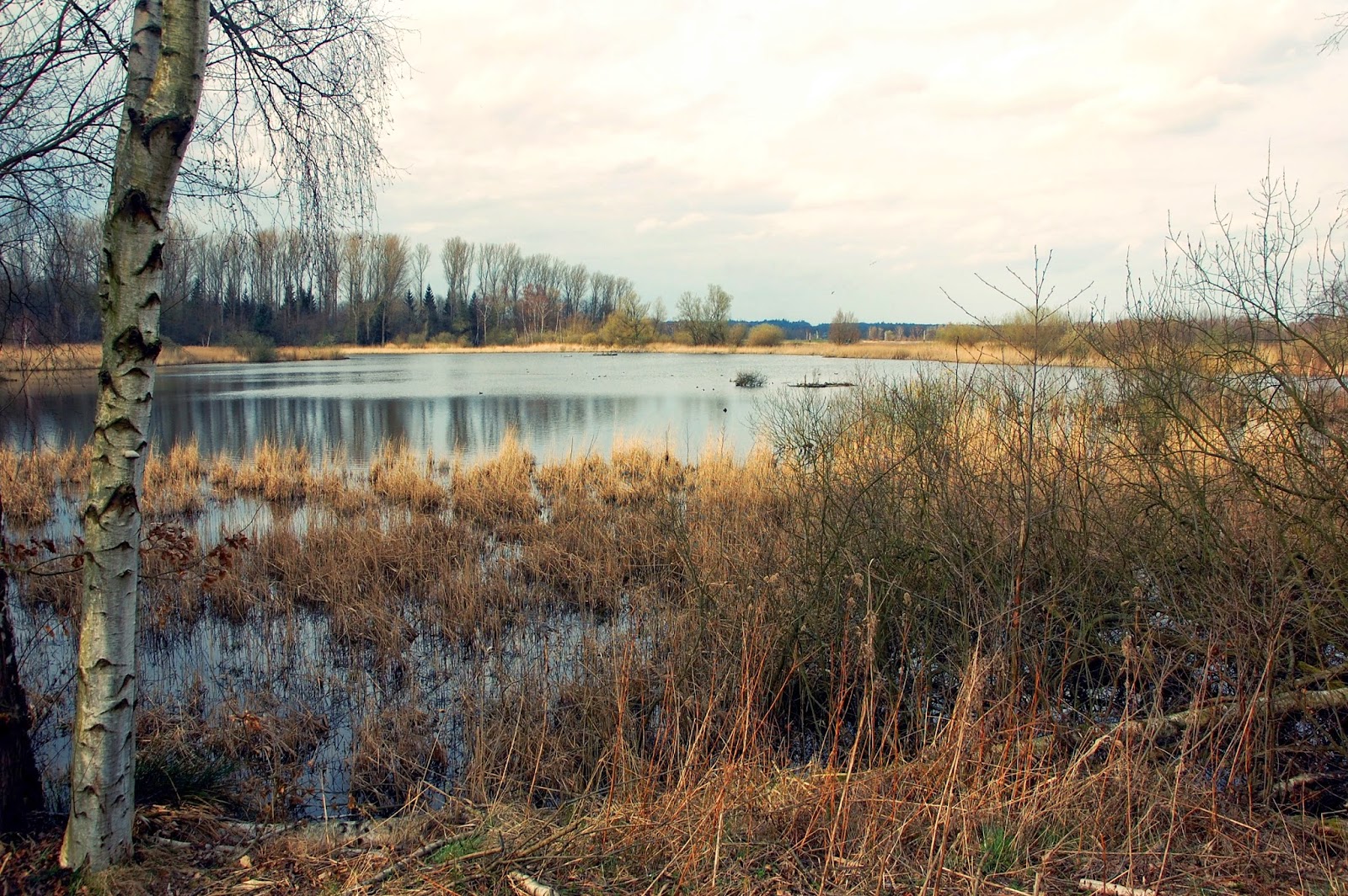 Mein Lübeck. Schellbruch*