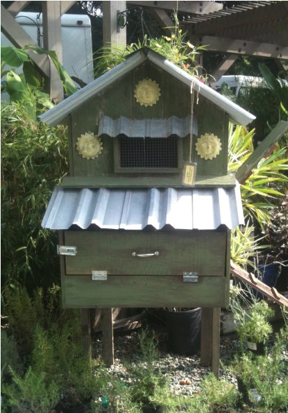 Garden Bliss: City Chickens