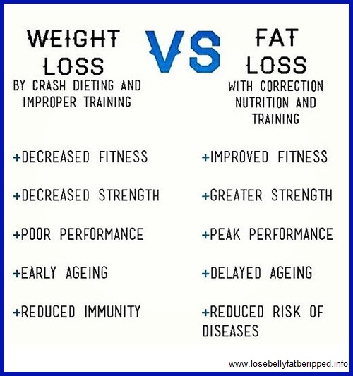 Apa Perbedaan Weight Loss Dan Fat Loss | BMI Formula