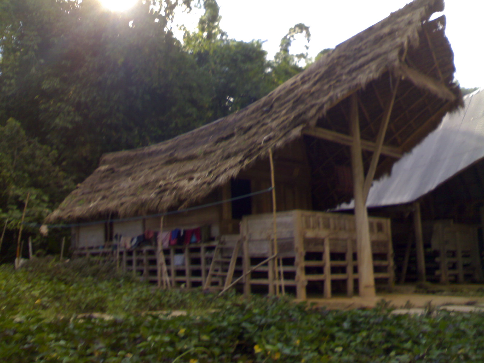 Rumah Adat Sulawesi Barat - TradisiKita