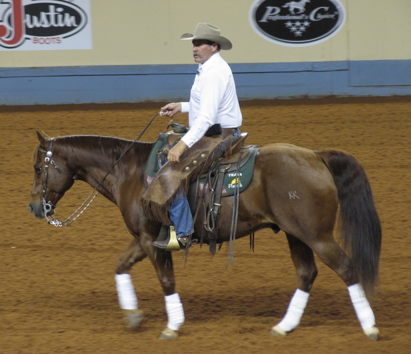My All Around Cowgirl Life AQHA World Horse Show 2012 Pat Parelli demo
