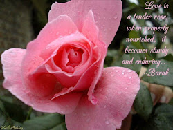 flowers quotes messages romantic greetings