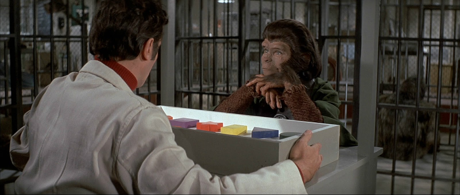 планета обезьян 1971. родди макдауэлл planet of the apes. планета обезьян 1971. бегство с планеты обезьян 1971. планета обезьян 1968.
