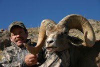Bighorn Sheep Hunting