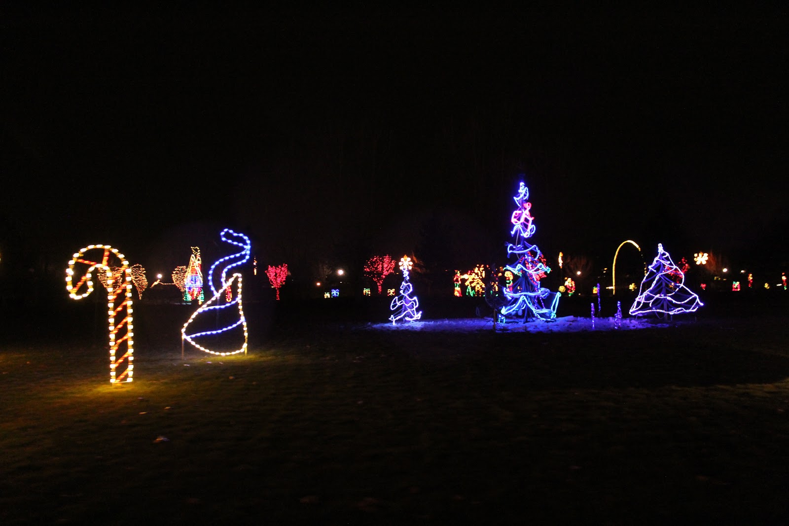 Jen's Updates Holiday Lights at Thanksgiving Point