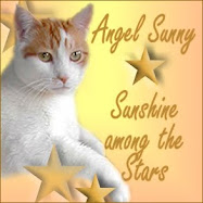 RIP Sunshine-Kitty
