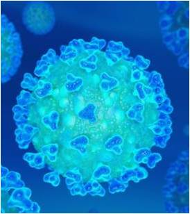 Pandemia - Coronavírus - SARS-COV-2