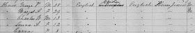 1871 census of Canada, New Brunswick, district 174, sub-district A-1, Saint John, p. 2, dwelling 4, family 5, George V Howe family; RG 31; digital images, Ancestry.com, Ancestry.com (http://www.ancestry.com/ : accessed 10 Apr 2018); citing Library and Archives Canada microfilm C-10372.