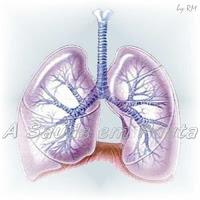 Blastomicose, micose profunda que afeta os pulmões.