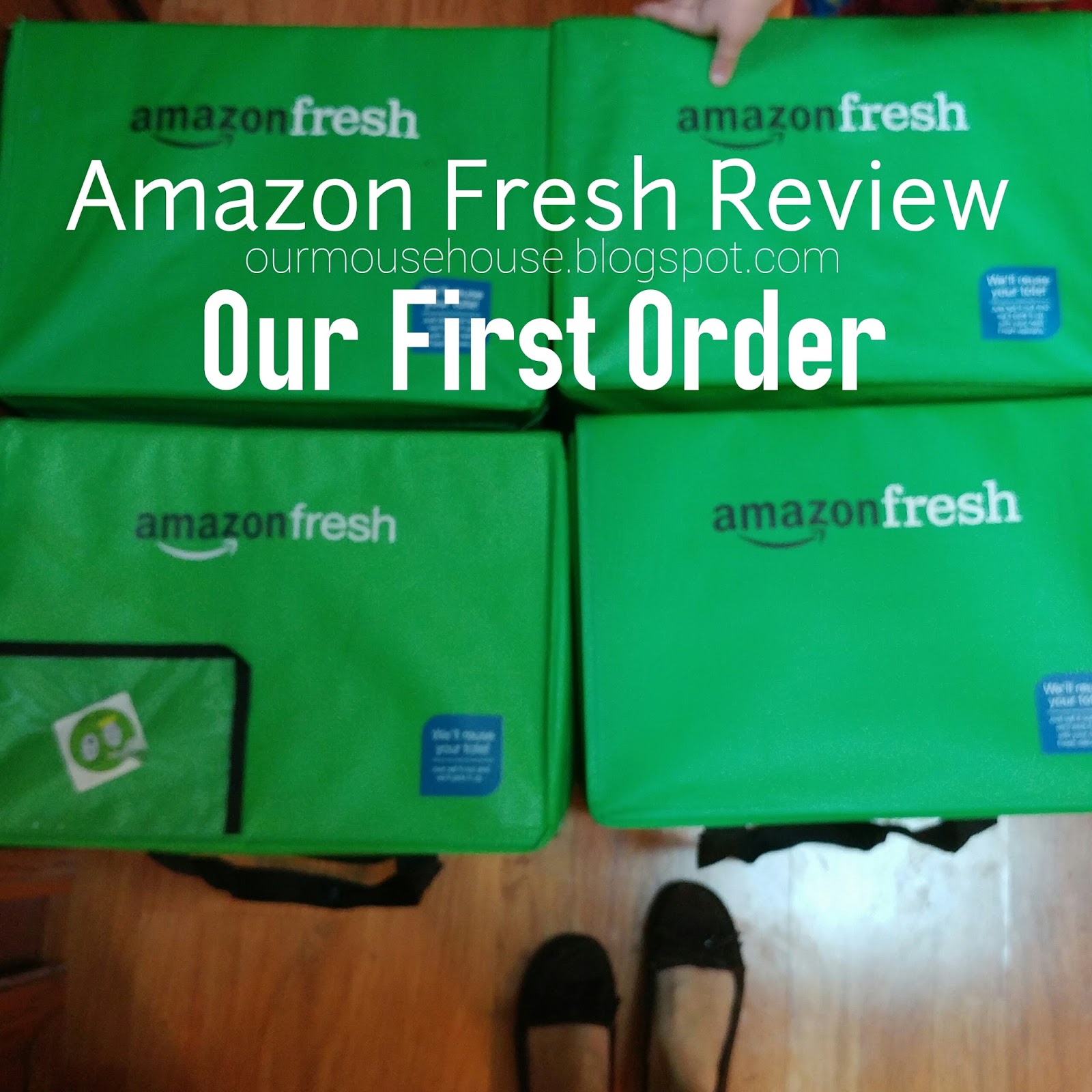 Our Mouse House Amazon Fresh Review 1
