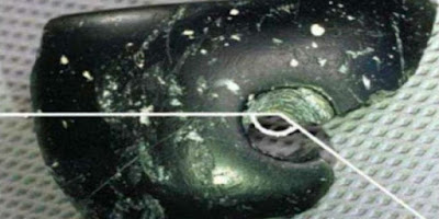 Ανατροπή της ιστορίας! Απίστευτο εύρημα αλλάζει όσα γνωρίζαμε για τους πρώτους ανθρώπους  