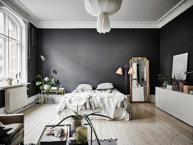 51 Black Accent Wall Ideas Our Designers Love | Havenly Blog | Havenly  Interior Design Blog