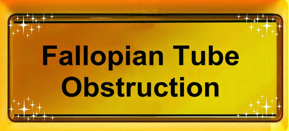 Fallopian tubes Obstruction