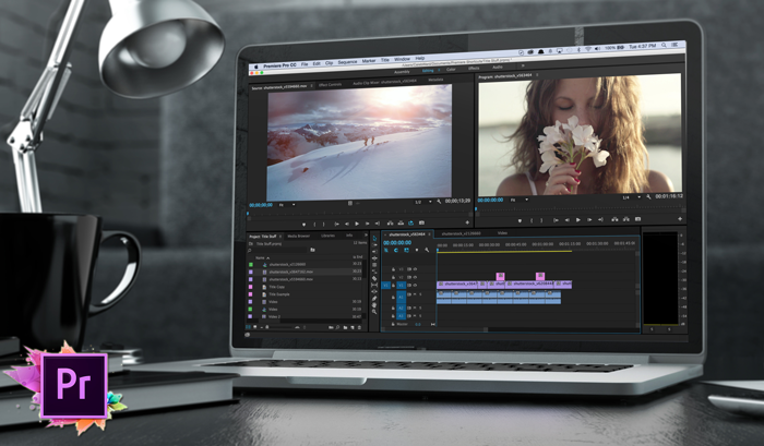 premier pro cs4 luts