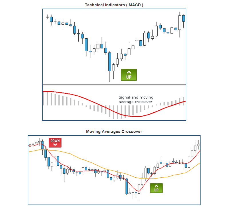 Forex and binary signals